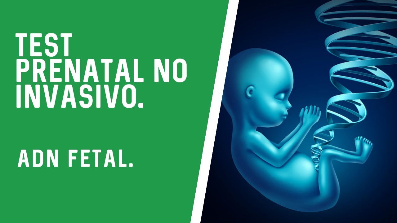 Todo lo que necesitas saber sobre el test prenatal no invasivo en Granada